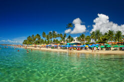 Porto de Galinhas - PE