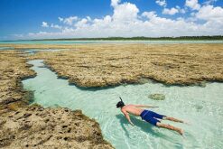 São Miguel dos Milagres - Alagoas