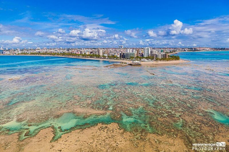 Corais da Praia de Ponta Verde