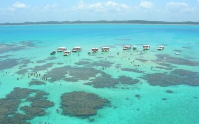 Visite as Galés de Maragogi, confira fotos das piscinas naturais de Maragogi.